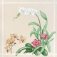 Serviette Orchidées 