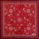 Serviette En Hiver
