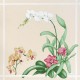 Serviette Orchidées 