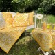 Nappe Agapanthes
