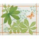 Grande Palmes Placemat - Anise