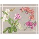 Orchidées Placemat - Green