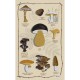 Les Champignons Tea-Towel