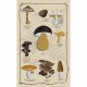 Les Champignons Tea-towel