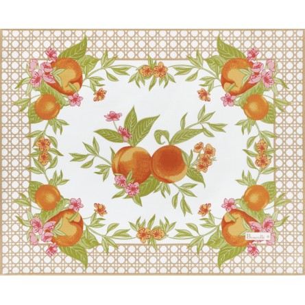 Pêches et Abricots Placemat