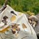 Les Champignons Geschirrtuch