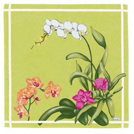 Orchidées Napkin - Champagne