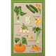 Tea towel gift box Un jardin vitaminé