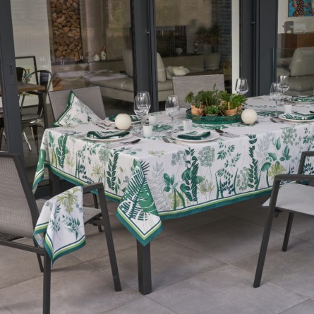 Nappe Agapanthes